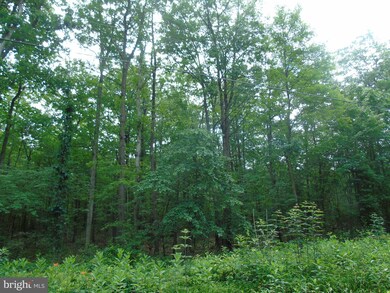 Lot 2 Means Hollow Rd, Shippensburg, PA 17257 - photo 2