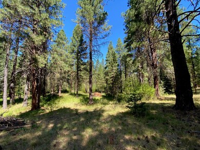 Woods