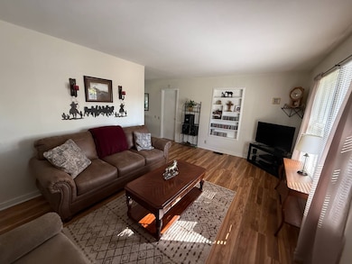 513 Brooklane St, Metropolis, IL 62960 - photo 4