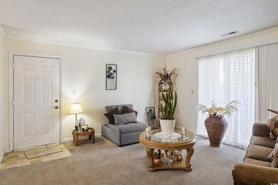 Carpeted living room with crown molding and a text