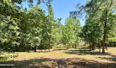 291 Gails Rd, Seven Lakes, NC 27376 - photo 5