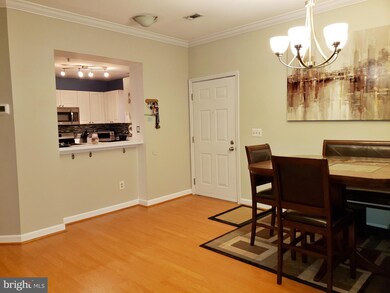45060 Brae Terrace unit 101, Ashburn, VA 20147 - photo 6