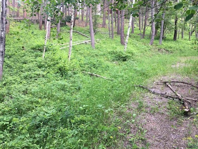 0 Danube Ln, West Pennington, SD 57702 - photo 4