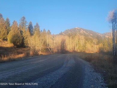 L13B2 Cutthroat Run, Irwin, ID 83428 - photo 6