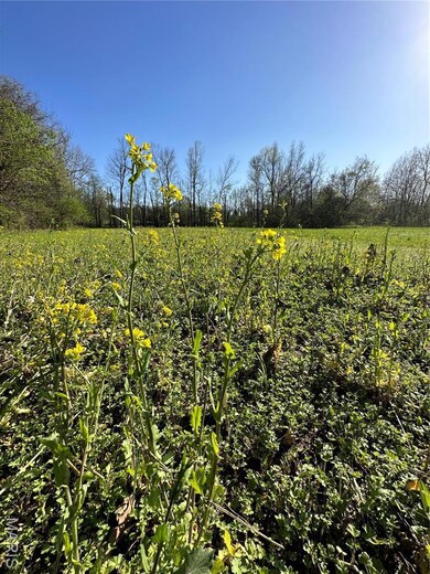 0 Engelberg Rd unit MIS25023089, Pocahontas, AR 72455 - photo 3