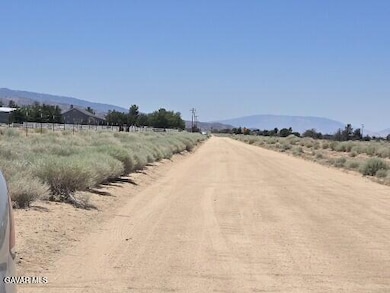 Ave E8 Vic 177 Stw, Fairmont, CA 93536 - photo 7