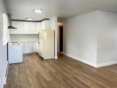 Unit 2- new open concept remodel, including new kitchen w/appliances, new LVP flooring and new paint