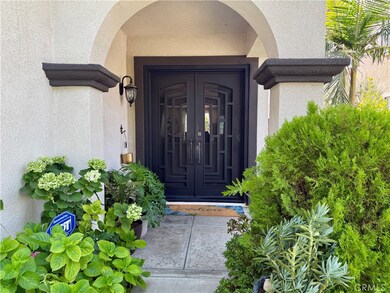 Entrance-custom designer doors