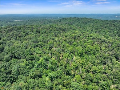 Drone / aerial view of a forest