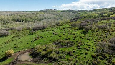 0 Tbd Divide Road 35-38, Gateway, CO 81522 - photo 7