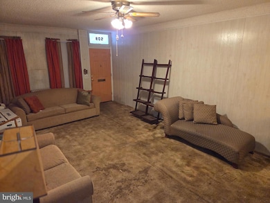 509 Taylor St, Wilmington, DE 19801 - photo 3