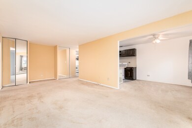 2628 N Windsor Dr unit 101, Arlington Heights, IL 60004 - photo 2
