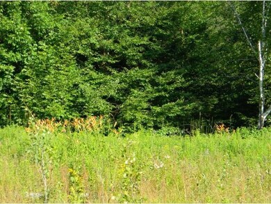0 Lovejoy Brook Rd unit 4173987, Ludlow, VT 05149 - photo 2