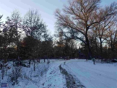 L47 Cranberry Creek Rd, Cutler, WI 54618 - photo 7