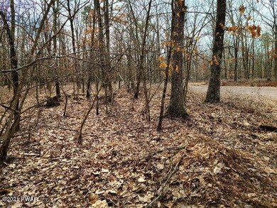 108 Mountain Top Rd, Lackawaxen Township, PA 18435 - photo 2