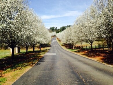 1403 Leeward Rd, Anderson, SC 29625 - photo 4
