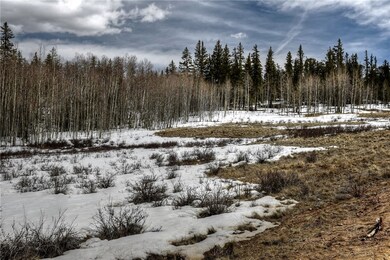 151 Mustang Ct, Como, CO 80432 - photo 4