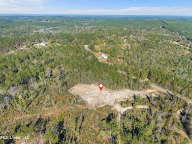 Nsn Country Hill Rd, Lucedale, MS 39452 - photo 7