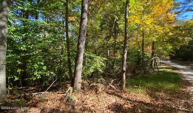 River View Fall172