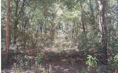 TBD 39th Ln, Branford, FL 32008 - photo 2