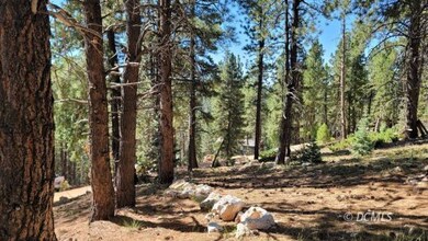 1675 Centurion Cir, Duck Creek Village, UT 84762 - photo 4