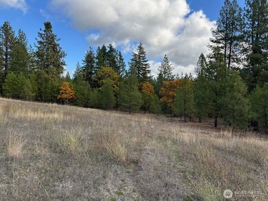 3 Garrison Rd, Goldendale, WA 98620 - photo 3