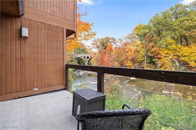 25080 Mill River Rd unit 25080, Olmsted Falls, OH 44138 - photo 5