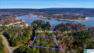 0 Long Point Rd unit 21437458, Double Springs, AL 35553 - photo 3