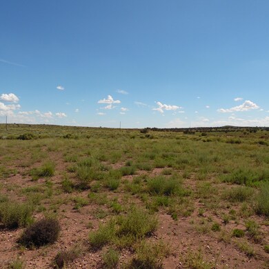Lunsann Cupples Trail 007