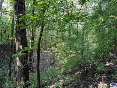 0 S Gorton Rd, Clinton Township, IN 47842 - photo 7