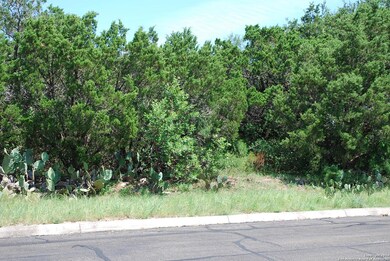 17326 Comanche Bluff, Helotes, TX 78023 - photo 3