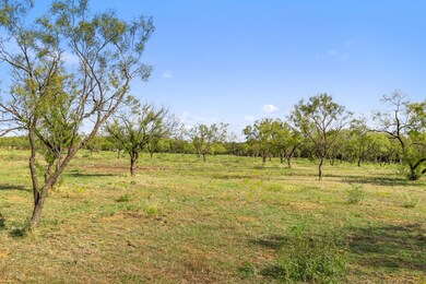10 Rustic Ridge Ranch, Johnson City, TX 78636 - photo 2