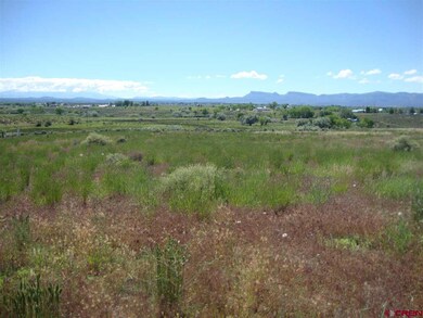 0 Road 24 6 unit 707703, Cortez, CO 81321 - photo 6