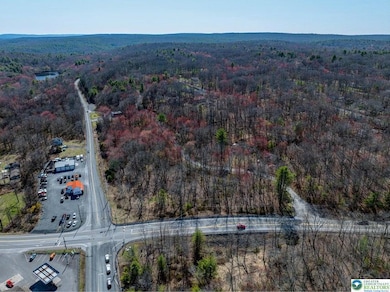 0 Lot85a unit 755921, Pike, PA 18328 - photo 5