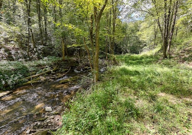 9765 Little Snowbird Rd, Robbinsville, NC 28771 - photo 7