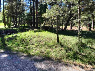 12 Long Dr unit 6W1/2, Mayhill, NM 88339 - photo 3