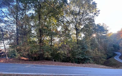 Additional View