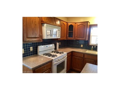 Ceramic backsplash and gas stove...