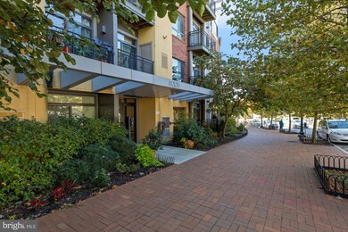 8005 13th St unit 207, Silver Spring, MD 20910 - photo 3