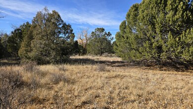 126 Cedar Ridge Rd unit 2, Mosca, CO 81146 - photo 2