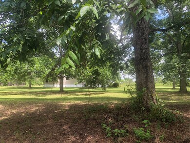 00 Carl Cloud Rd, Climax, GA 39834 - photo 5