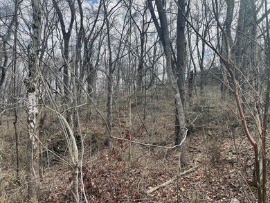 EB7C9BBC-FFCD-4A27-BBC1-004D114A730D