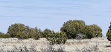 639 Westwood Ranch, Ash Fork, AZ 86320 - photo 2