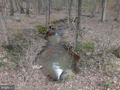 0 0 May Apple Ct, Cross Junction, VA 22625 - photo 3