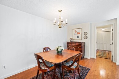 Wellesley Green Condominiums unit 152, Wellesley, MA 02482 - photo 6