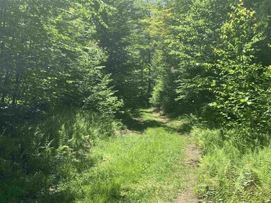 0 Middle Hancock Rd, Peterborough, NH 03458 - photo 7