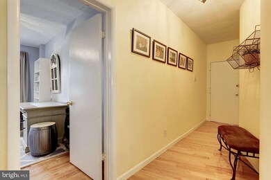 3725 12th St NE unit 204, Washington, DC 20017 - photo 2