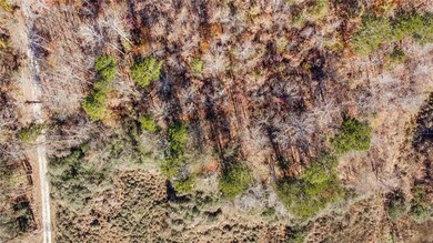 0 Auraria Rd unit 7683543, Dawsonville, GA 30534 - photo 4