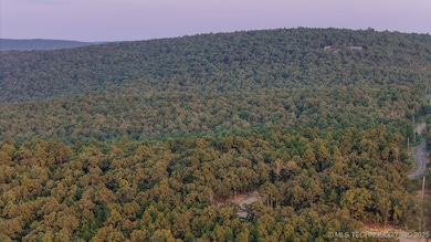 7 Moonshine Dr, Clayton, OK 74536 - photo 3