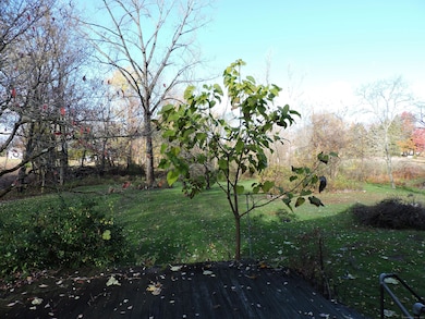 951 Main St, South Windsor, CT 06074 - photo 5